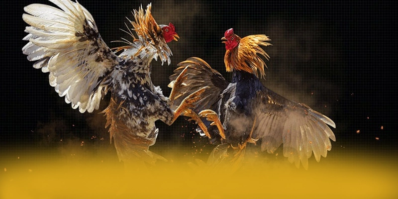 [THUONG_HIEU] - Cổng game bài tối ưu hiện nay
