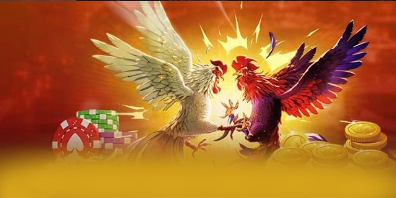 Cùng trải nghiệm FB88 - Sảnh game hàng đầu Việt Nam hiện nay